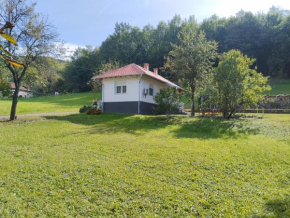 Vitovnicki Mir